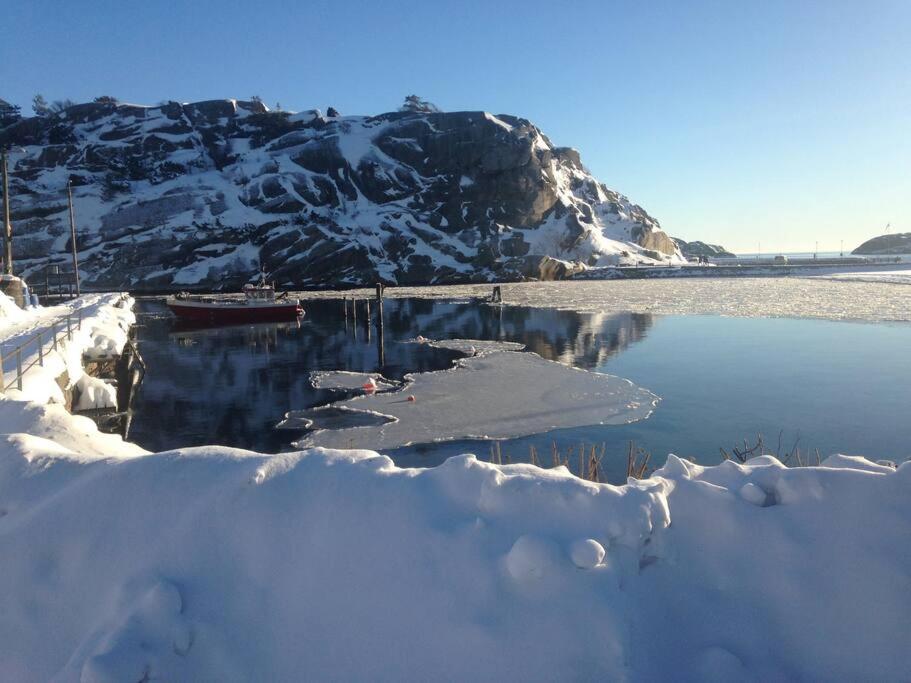 Tjodalyng - Ved Viksfjord - Sokkelleilighet Larvik Exterior foto